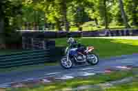 cadwell-no-limits-trackday;cadwell-park;cadwell-park-photographs;cadwell-trackday-photographs;enduro-digital-images;event-digital-images;eventdigitalimages;no-limits-trackdays;peter-wileman-photography;racing-digital-images;trackday-digital-images;trackday-photos